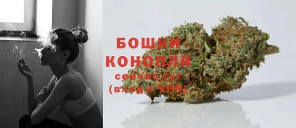 прущая мука Инсар