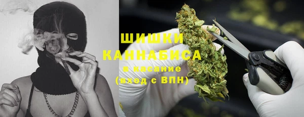прущая мука Инта