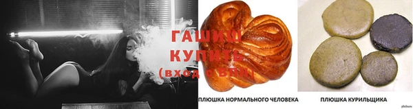 ECSTASY Иннополис