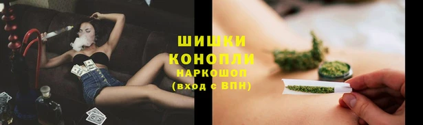 прущая мука Инсар